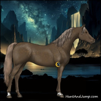 Horse Color:Chocolate Palomino