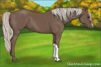 Horse Color:Silver Black 