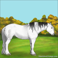 Horse Color:Gray Brown Splash Tobiano Rabicano