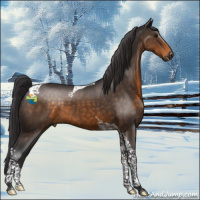 Horse Color:Buckskin Tobiano 