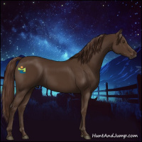 Horse Color:Liver Chestnut 