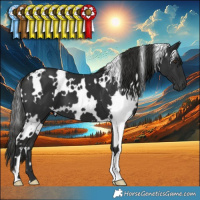 Horse Color:White Spotted Liver Chestnut