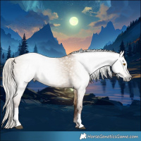 Horse Color:Gray Silver Grullo Pearl Tobiano 