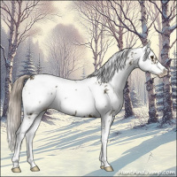Horse Color:Chocolate Palomino Mushroom Sabino 