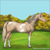 Horse Color:Red Roan Pearl Tobiano Frame 