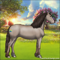 Horse Color:Classic Champagne 