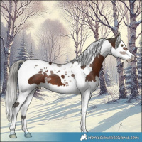 Horse Color:Liver Chestnut Mushroom Splash Tobiano 
