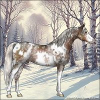 Horse Color:White Spotted Liver Chestnut Mushroom Rabicano 