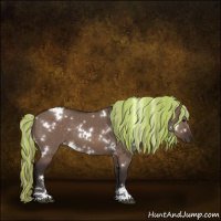 Horse Color:Painted White Spotted Silver Brown Dun Sabino 