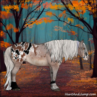 Horse Color:White Spotted Silver Brown Splash Appaloosa 