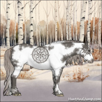 Horse Color:White Spotted Silver Black Frame Varnish Rabicano 