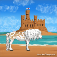 Horse Color:White Spotted Silver Buckskin Dun Splash Appaloosa 