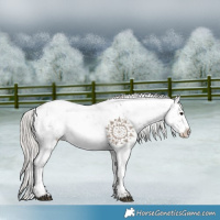 Horse Color:White Spotted Silver Grullo Sabino