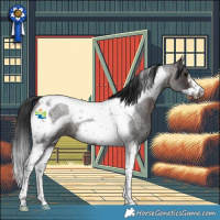Horse Color:Brown Roan Tobiano Frame 