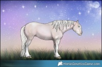 Horse Color:Watercolor White Spotted Silver Buckskin Pearl Dun Tobiano 