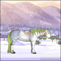 Horse Color:Gray Painted Silver Brown Dun Sabino 