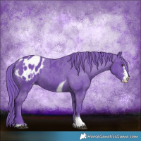 Horse Color:Watercolor Liver Chestnut Sabino Tobiano Appaloosa 