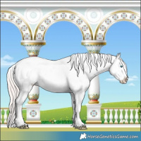 Horse Color:Smoky Creme Sabino Splash 