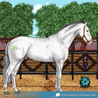 Horse Color:White Spotted Smoky Grullo Sabino Blanket Rabicano 