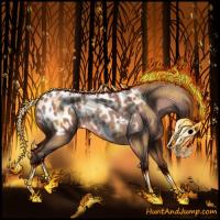 Horse Color:Silver Bay Roan Appaloosa 