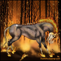 Horse Color:Bay Roan Varnish 