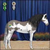 Horse Color:Grullo Splash Frame 