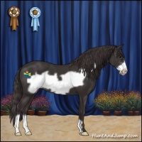 Horse Color:Smoky Black Frame 