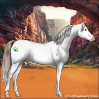 Horse Color:Chestnut Sabino Splash 