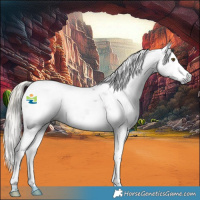 Horse Color:Gray Chestnut Splash Tobiano 