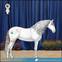 Horse Color:Bay Roan Frame Appaloosa Rabicano 