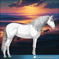 Horse Color:Blue Roan Splash Varnish Rabicano 