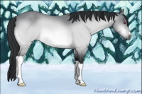 Horse Color:Brown Chinchilla 