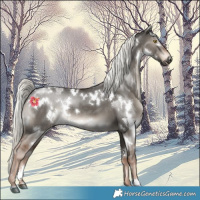 Horse Color:White Spotted Liver Red Dun Mushroom Rabicano 