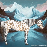 Horse Color:Buckskin Leopard 