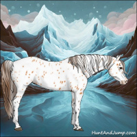Horse Color:Buckskin Appaloosa and Buckskin Appaloosa