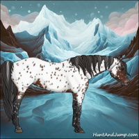 Horse Color:Brown Appaloosa