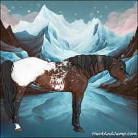 Horse Color:Brown Appaloosa Rabicano 