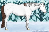 Horse Color:Bay Roan Dun Appaloosa Brindle 