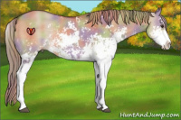 Horse Color:Nacre Liver Red Dun Sabino Rabicano 