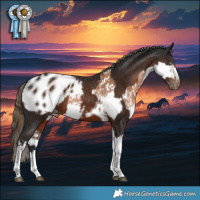 Horse Color:Gray White Spotted Liver Chestnut Pearl Splash Snowcap Rabicano  and Gray White Spotted Liver Chestnut Mushroom Tobiano Blanket Rabicano 