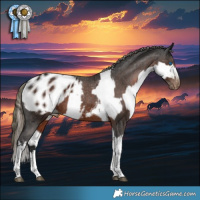 Horse Color:Gray White Spotted Liver Chestnut Pearl Splash Appaloosa Rabicano and Gray White Spotted Liver Chestnut Mushroom Tobiano Appaloosa Rabicano
