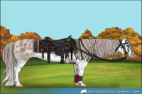 Horse Color:Classic Champagne Splash Appaloosa Rabicano 