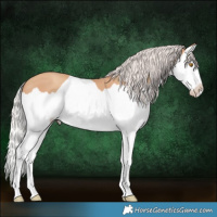 Horse Color:Silver Classic Champagne Splash 