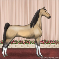 Horse Color:Buckskin Roan Dun Tobiano