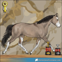 Horse Color:White Spotted Brown Dun Rabicano 