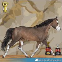Horse Color:White Spotted Brown Dun Rabicano 