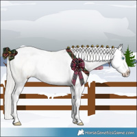 Horse Color:White Spotted Silver Sable Cream Champagne Pearl Dun Splash Rabicano 
