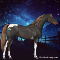 Horse Color:Liver Red Roan Tobiano