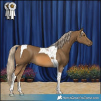 Horse Color:Chocolate Palomino Mushroom Tobiano 