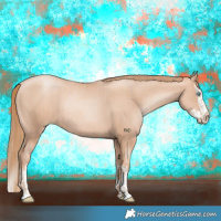 Horse Color:Gold Champagne Pearl Rabicano  and Gold Champagne Pearl Splash Rabicano 